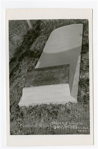 Image description is not available for PHO-264-646